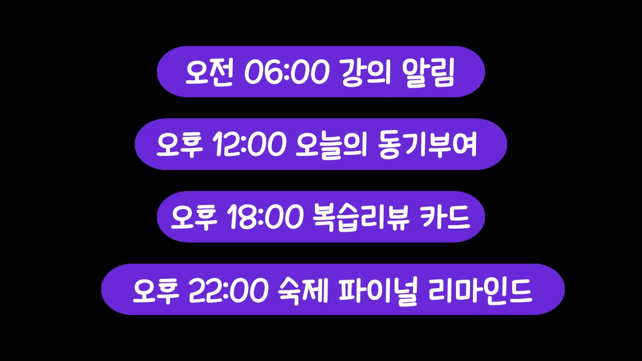래피드 영어 소개 33